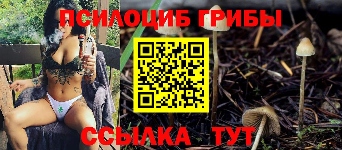 Псилоцибиновые грибы Magic Shrooms Прокопьевск